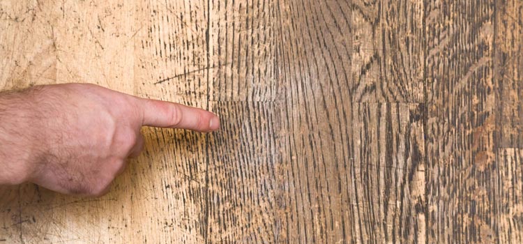 Wood Door Scratch Repair in Salinas